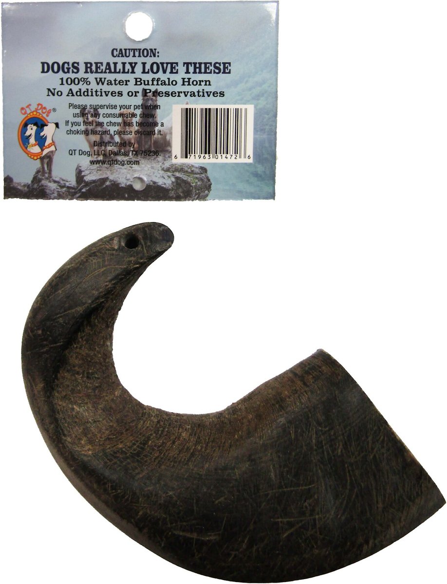 QT Dog Buffalo Hornz Water Buffalo Horn Dog Treat