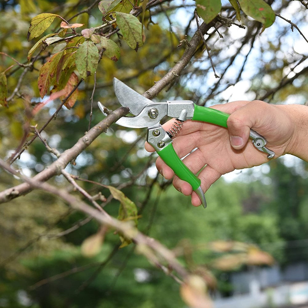 WilFiks Garden Pruning Shears - 8" Heavy Duty Bypass Hand Pruner - Secateurs Steel Gardening Scissors with Comfortable Handle and Shock Absorbing Spring - Branch, Stem and Tree Trimmer Hand Tool