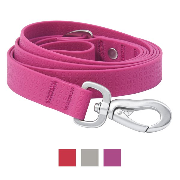 Frisco Outdoor Solid Textured Waterproof Stink Proof PVC Dog Leash