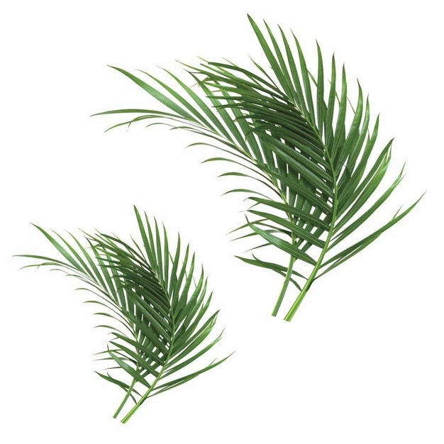 Palm Leaf Peel And Stick Giant Wall Decal Green Roommates