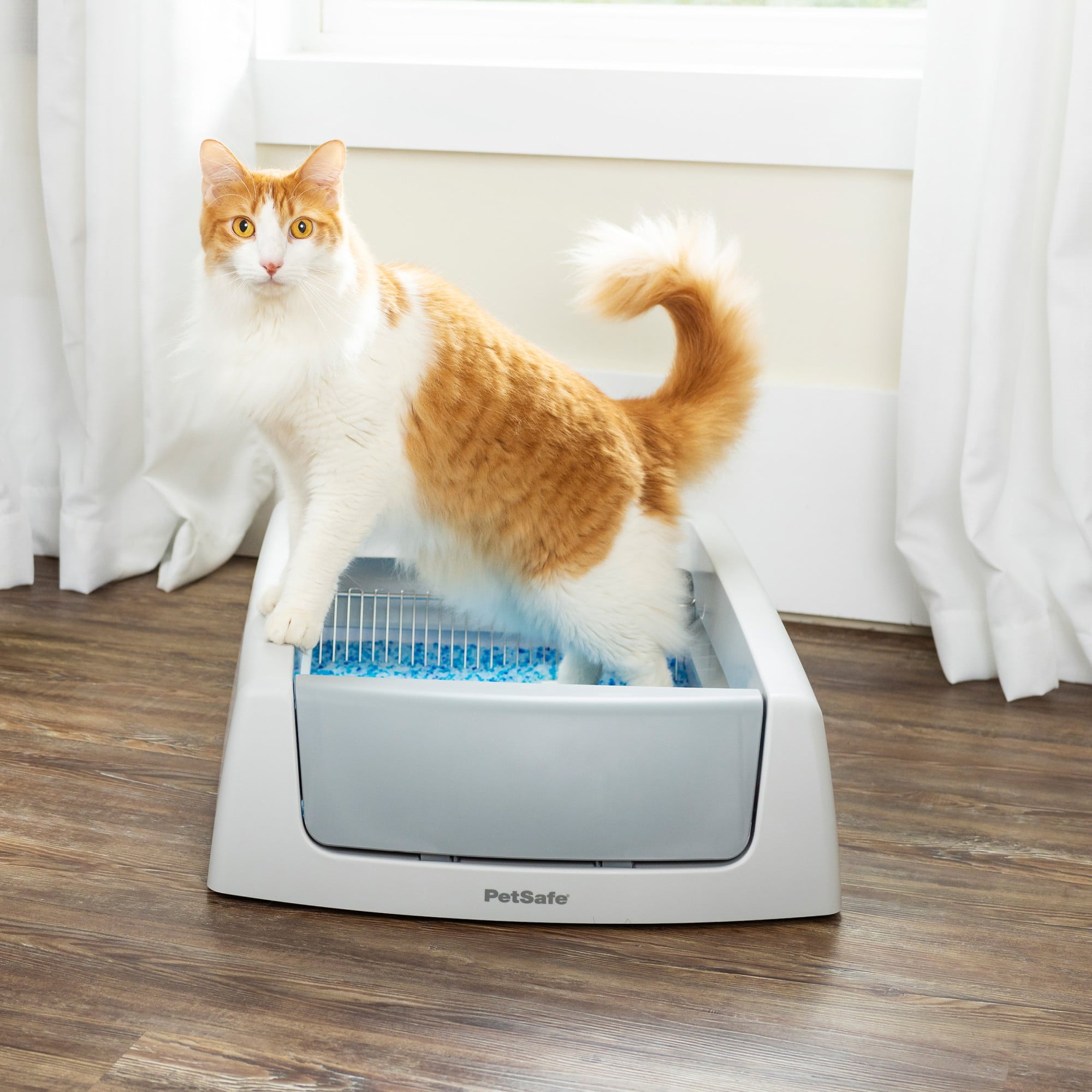 ScoopFree Complete Self-Cleaning Litter Box - No Scooping Required - Unbeatable Odor Control