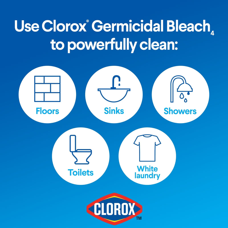 CLOROX GERMCIDL 81OZ