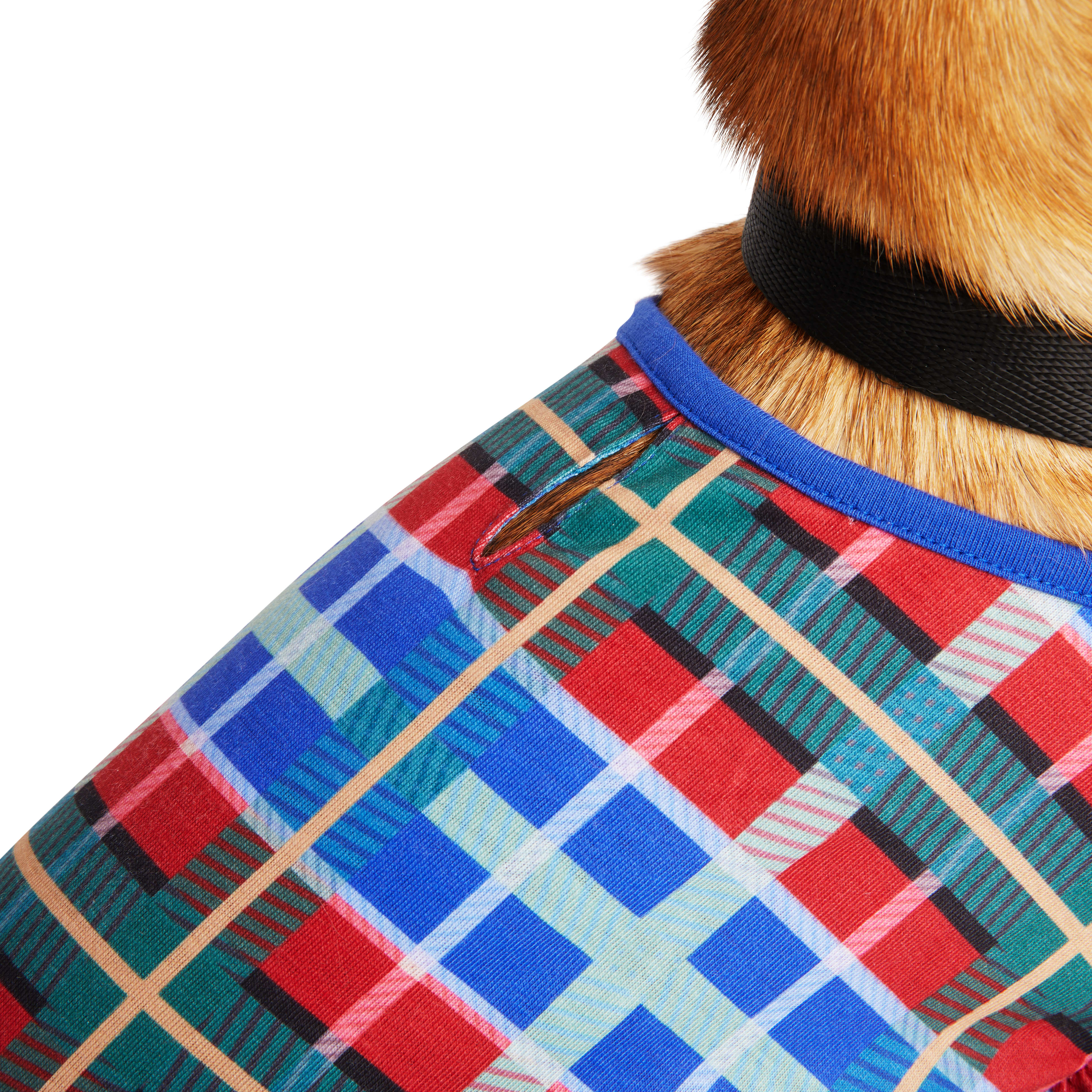 YOULY Plaid Pet Pajamas， XX-Small