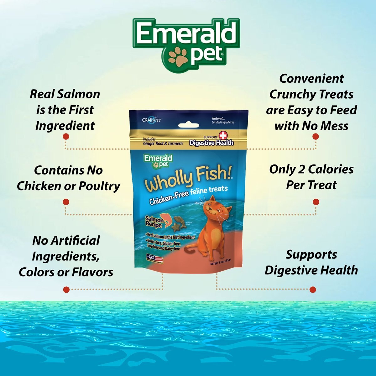 Emerald Pet Wholly Fish! Digestive Health Salmon Recipe Cat Treats