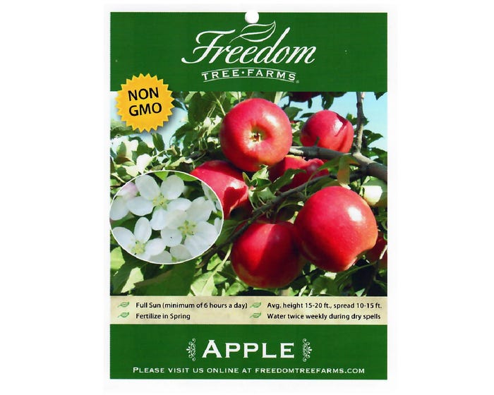 Freedom Tree Farms Macintosh Apple Tree in 5 Gallon Bucket