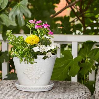 Southern Patio Lorna Small 8 in. x 6 in. 3 Qt. Pearl White Ceramic Indoor Pot (2-Pack) CRM-030928P2