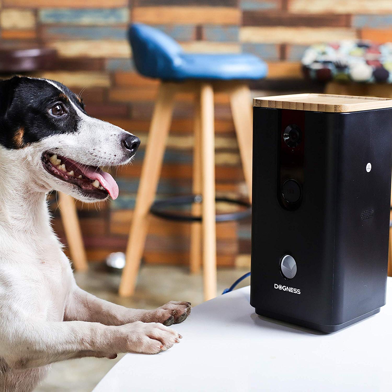 Dogness Smart Cam Pet Treat Dispenser with HD Camera-Black