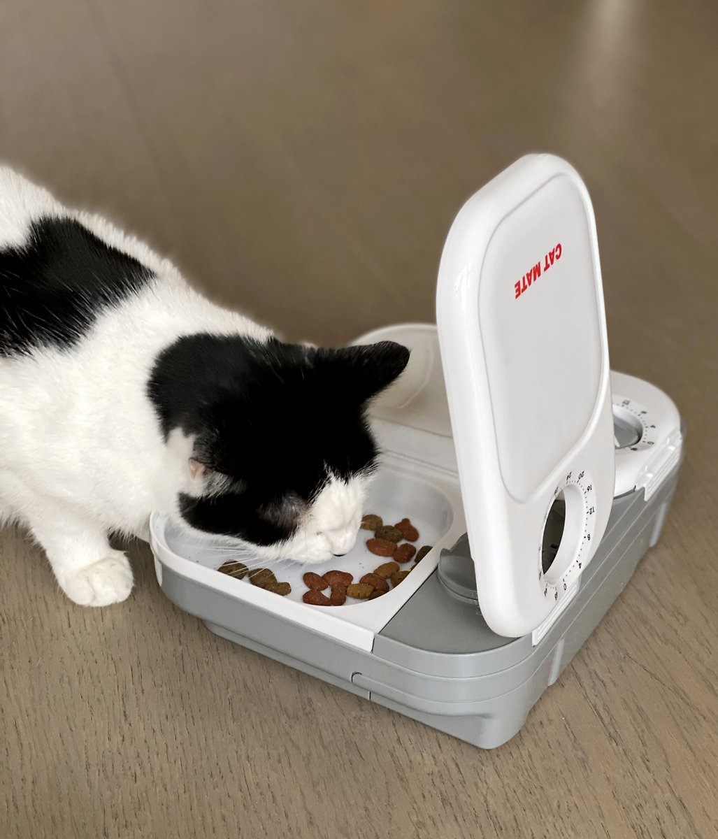 Cat Mate C200 2-Bowl Automatic Dog and Cat Feeder， 4-cup