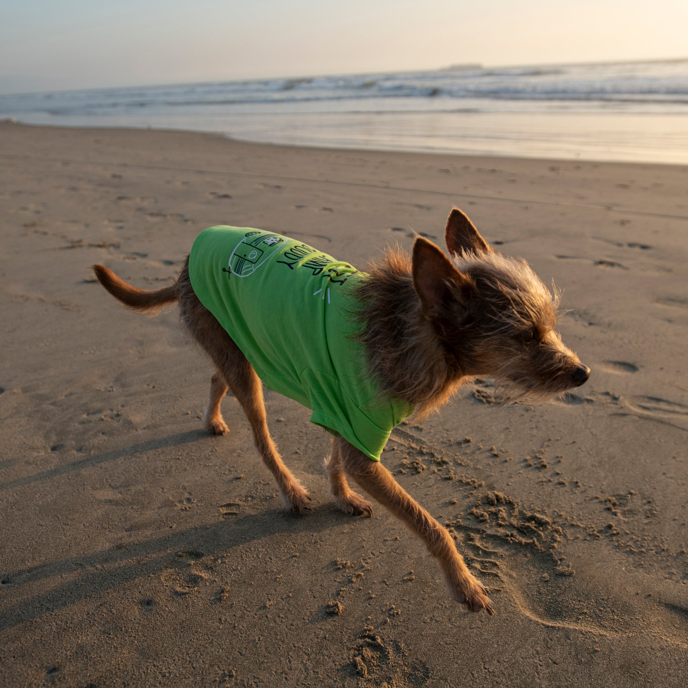 Vibrant Life Polyester Best Camp Buddy Dog T-Shirt， Green， S