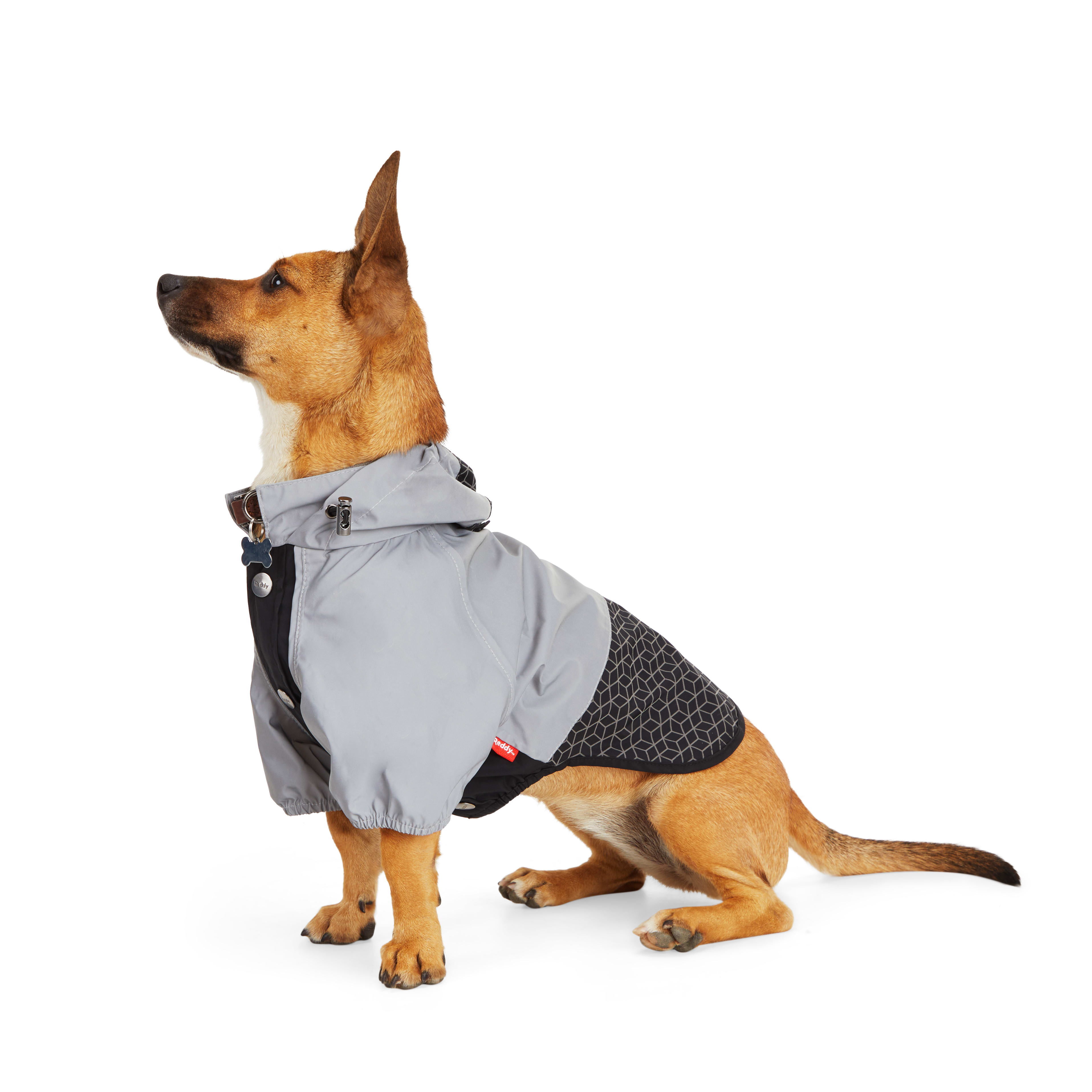 Reddy Print/Black Reflective Dog Jacket， X-Small