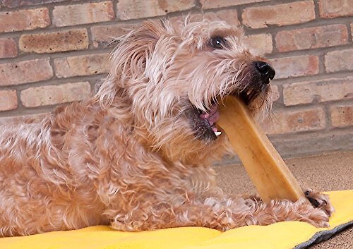 Downtown Pet Supply Yak Chew Dog Treats