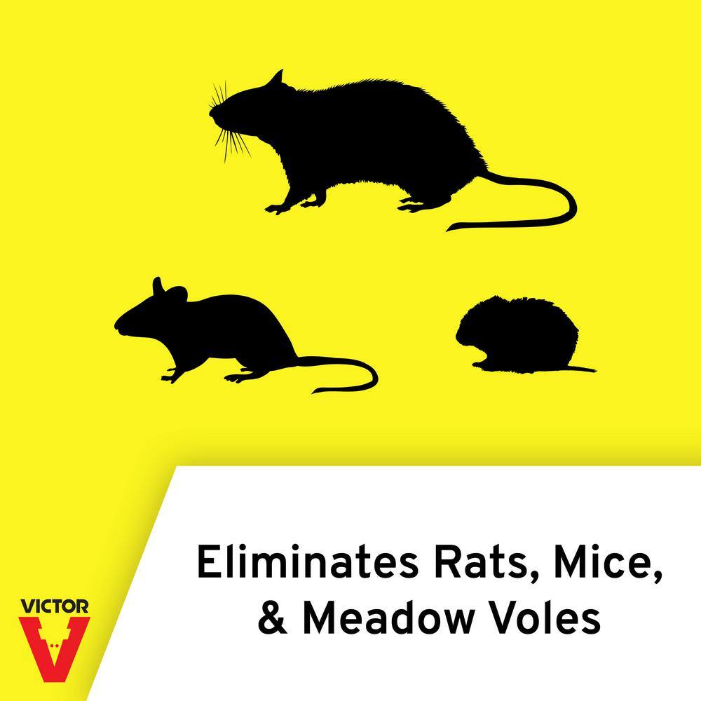 Victor Easy-to-Use Rodent Pest Killer - 4 lbs. M925