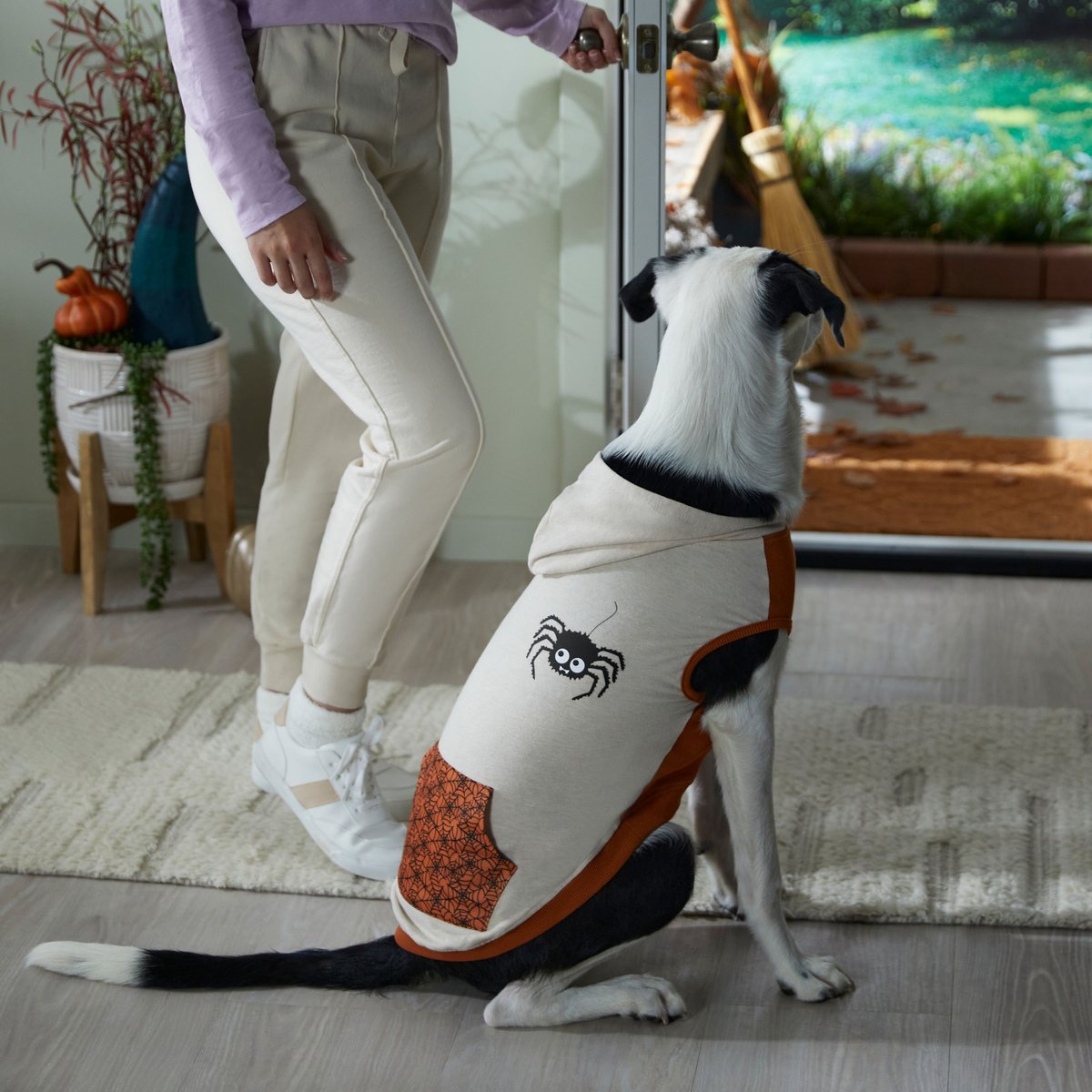 Frisco Happy Spider Dog and Cat Hoodie