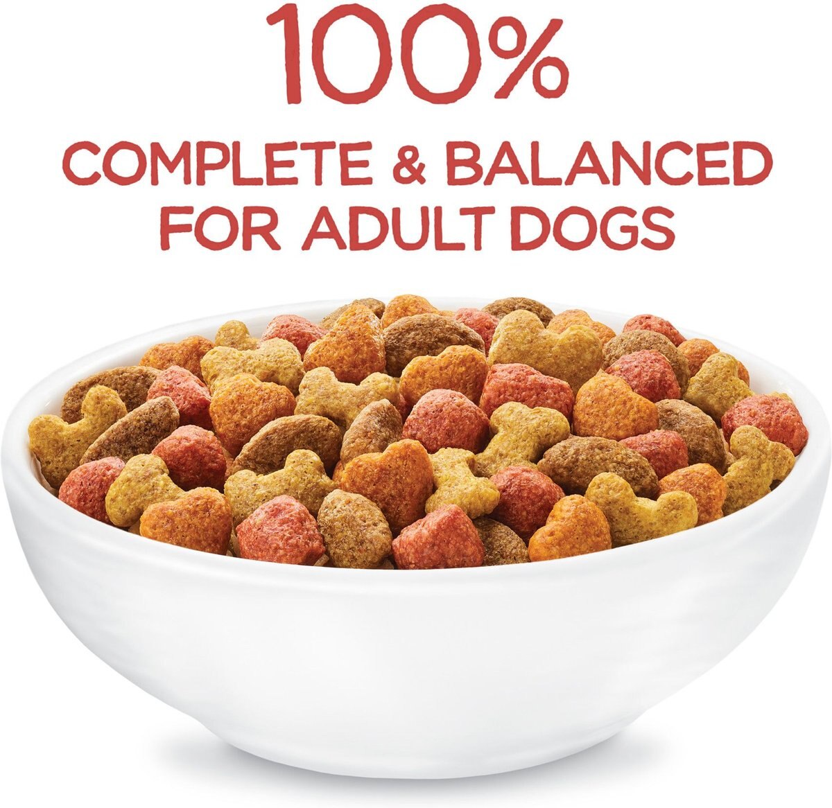 Purina Beneful Originals with Natural Salmon Dry Dog Food