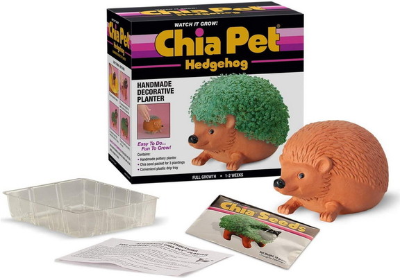 Joseph Enterprises JEI CP438 01 C Hedgehog Chia Pe...