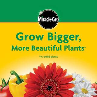 Miracle-Gro Water-Soluble 5 lb. All Purpose Plant Food 1001232