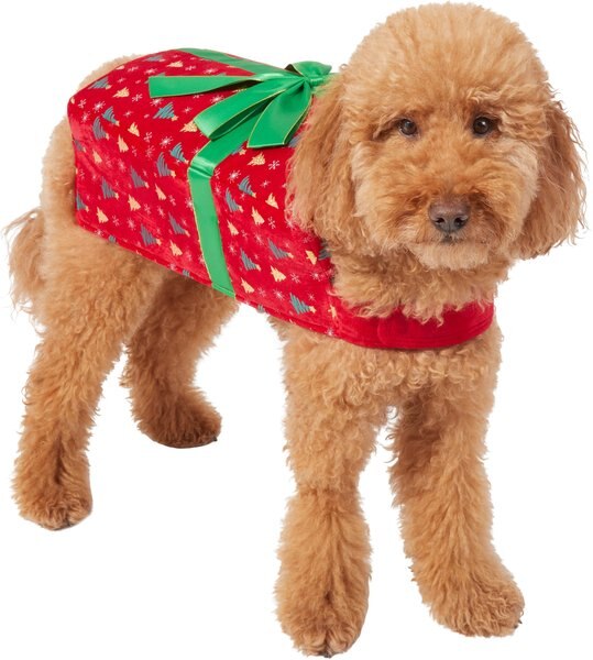 Frisco Holiday Giftbox Dog and Cat Costume