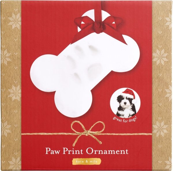 Kate and Milo Paw Print Bone Ornament Kit