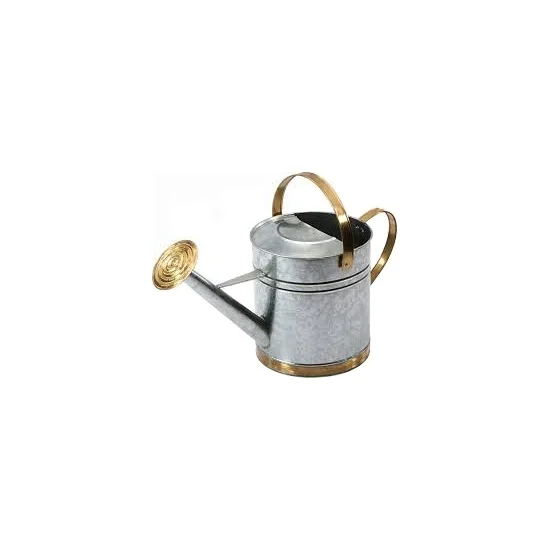 garden metal watering can /Watering Can Metal Outdoor /Garden Planter garden tools garden can for watering galvanized iron can