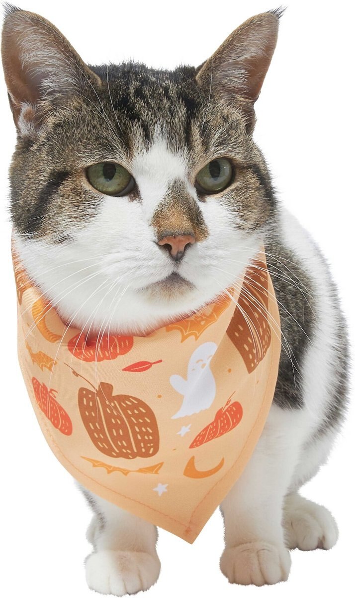 Frisco Whimsical Halloween Dog and Cat Bandana