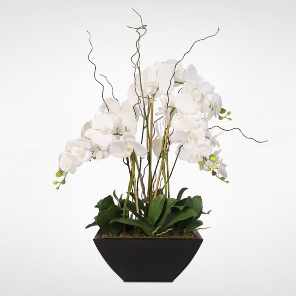 Real Touch White Phalaenopsis Orchids in a Black Metal Zinc Pot