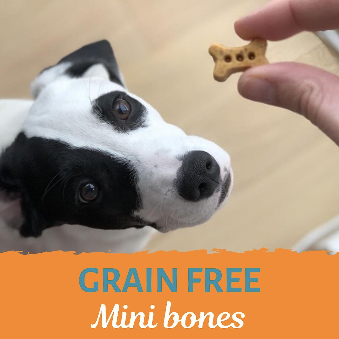 Exclusively Dog Mini Fido's Food Truck Grain-Free Dog Treats