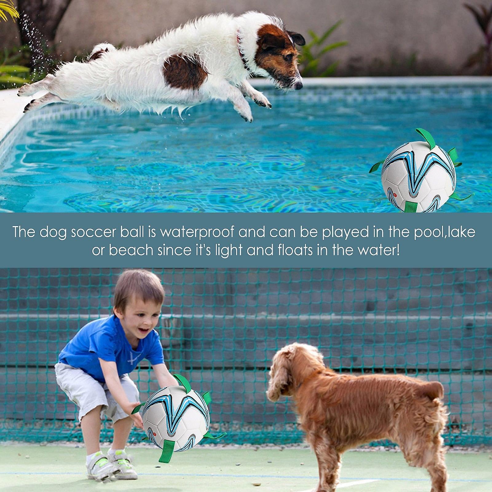 Interactive outdoor dog toy soccer ball