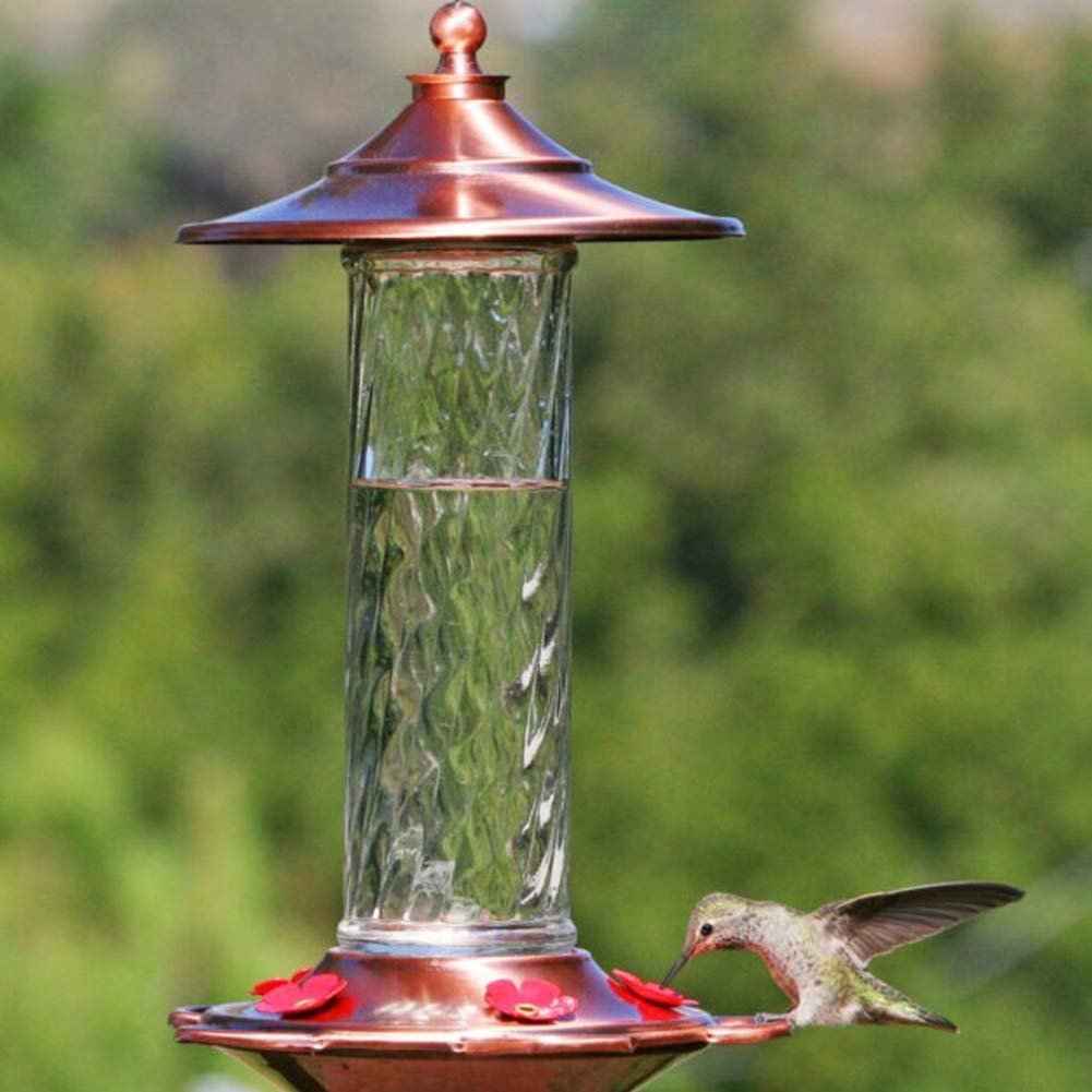 More Birds Glory Hummingbird Feeder， 5 Feeding Ports and 14 Ounce Nectar Capacity