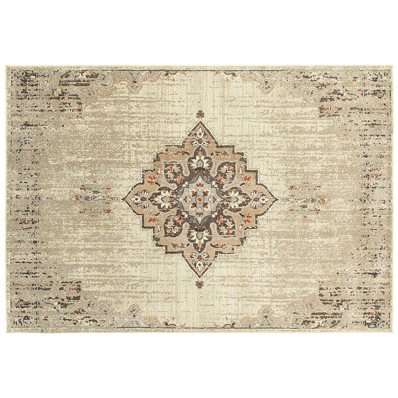 StyleHaven Portia Floral Medallion Framed Rug