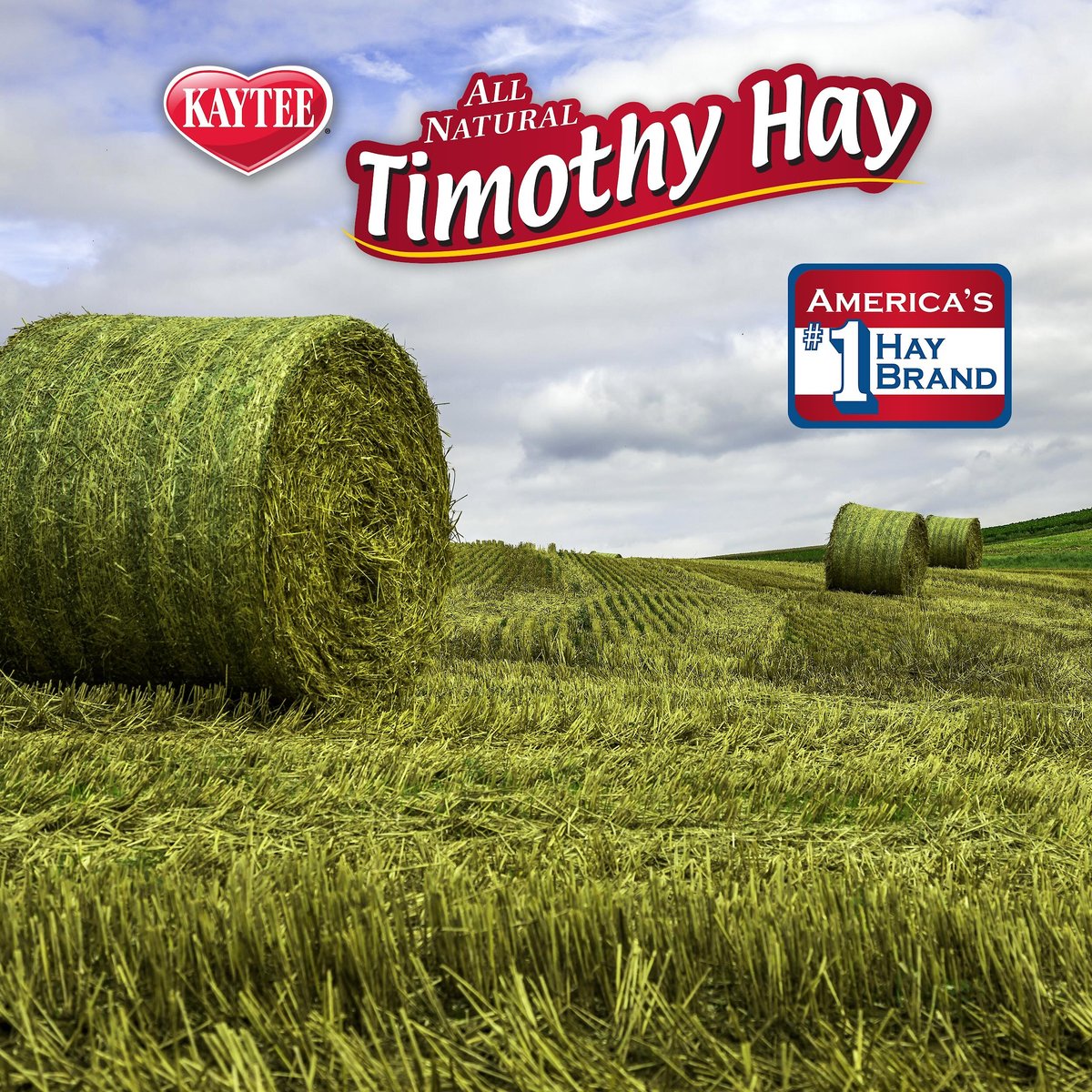 Kaytee Second Cut Timothy Hay Small Animal Food