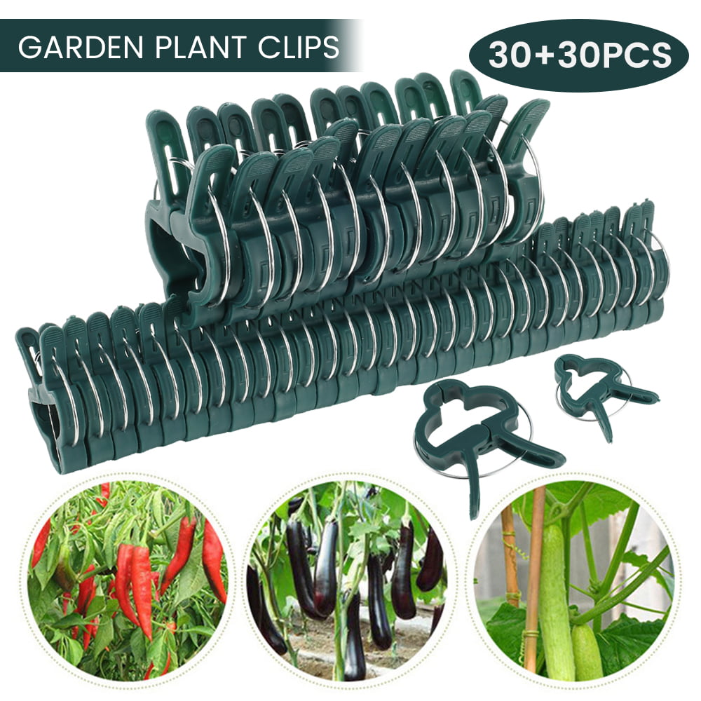 HOTBEST 60 Pcs Plant Support Clips Flower and Vine Garden Tomato Plant Support Clips for Supporting Stems Vines Grow Upright Climbing Tool(2 sizes in one pack)