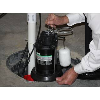 Wayne 12 HP Thermoplastic Sump Pump SPF50