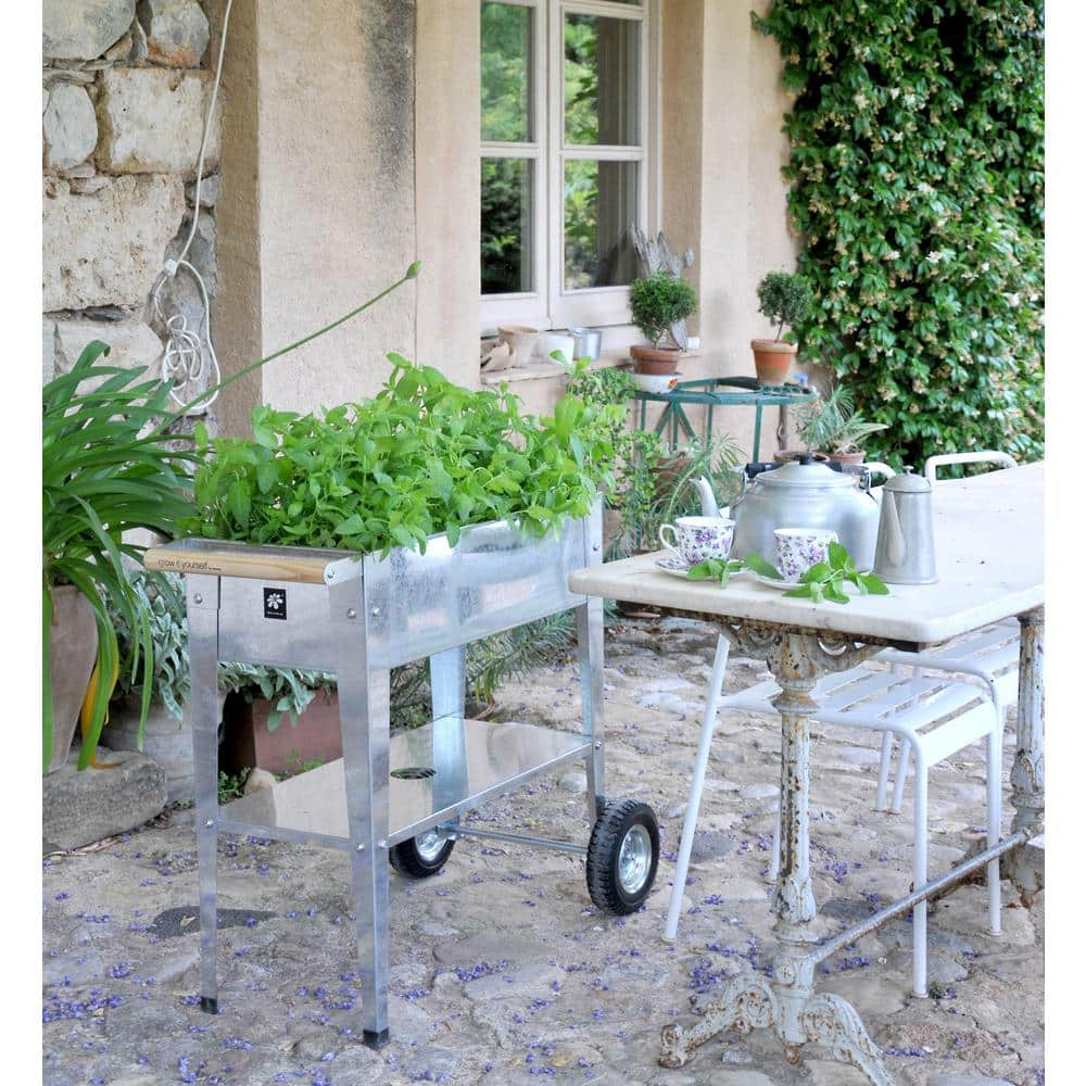 Herstera Garden Trolley 25.9 in. L x 13.7 in. W x 31.5 in. H Galvanized Steel Raised Planter HER1000