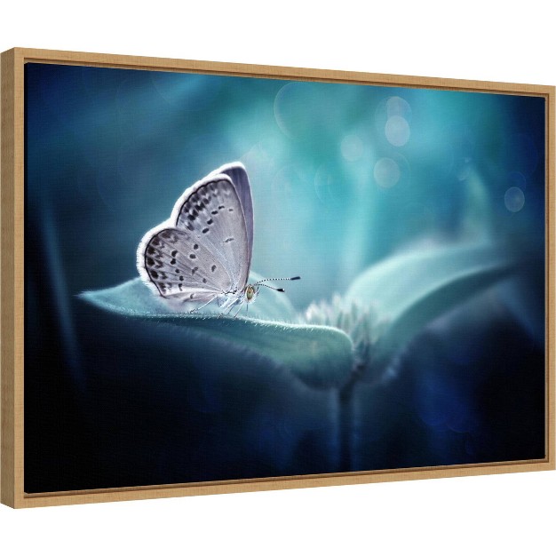 X 16 quot Butterfly And Blue Flower By Fauzan Maududdin Framed Wall Canvas Amanti Art