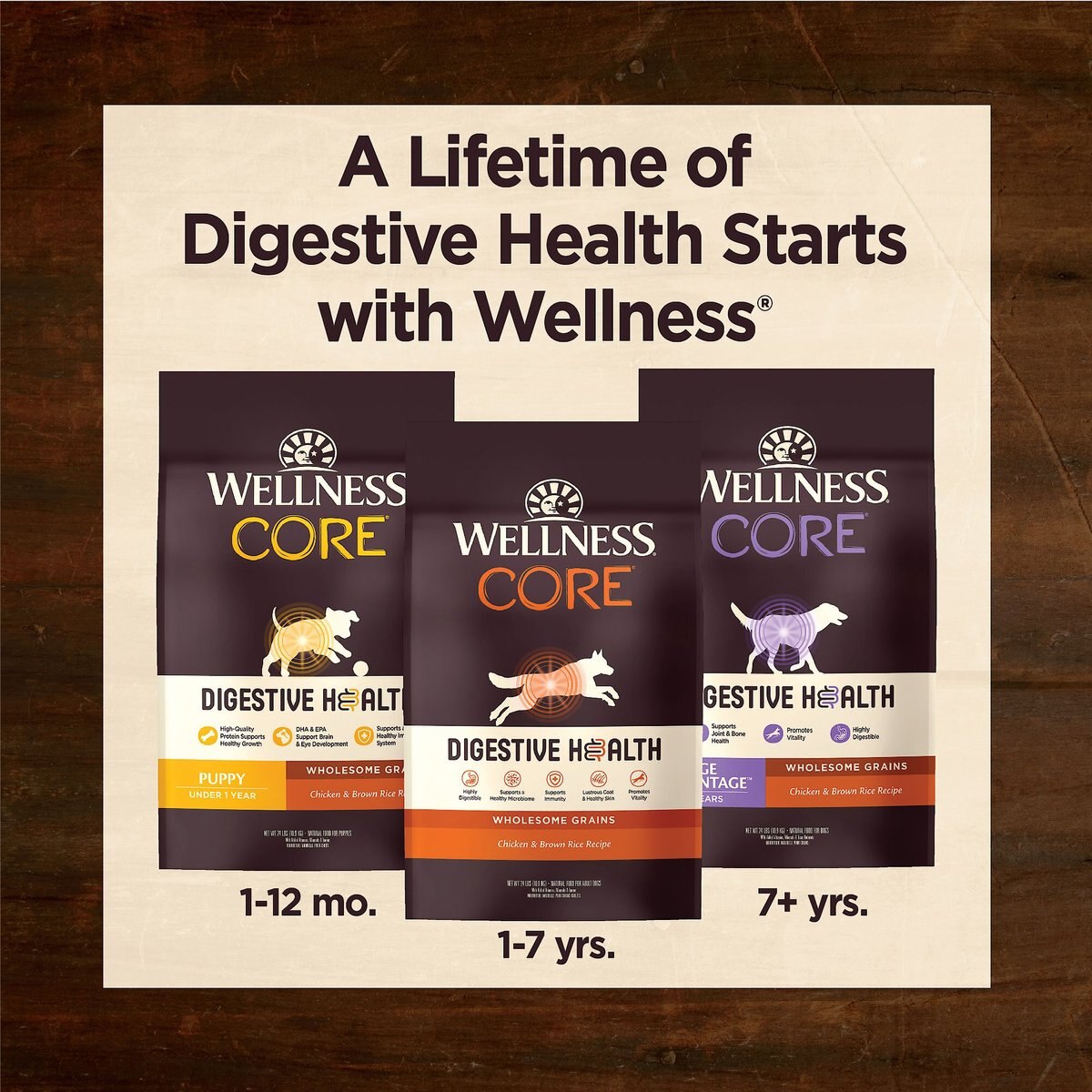 Wellness CORE Digestive Health Puppy Chicken and Brown Rice Dry Dog Food