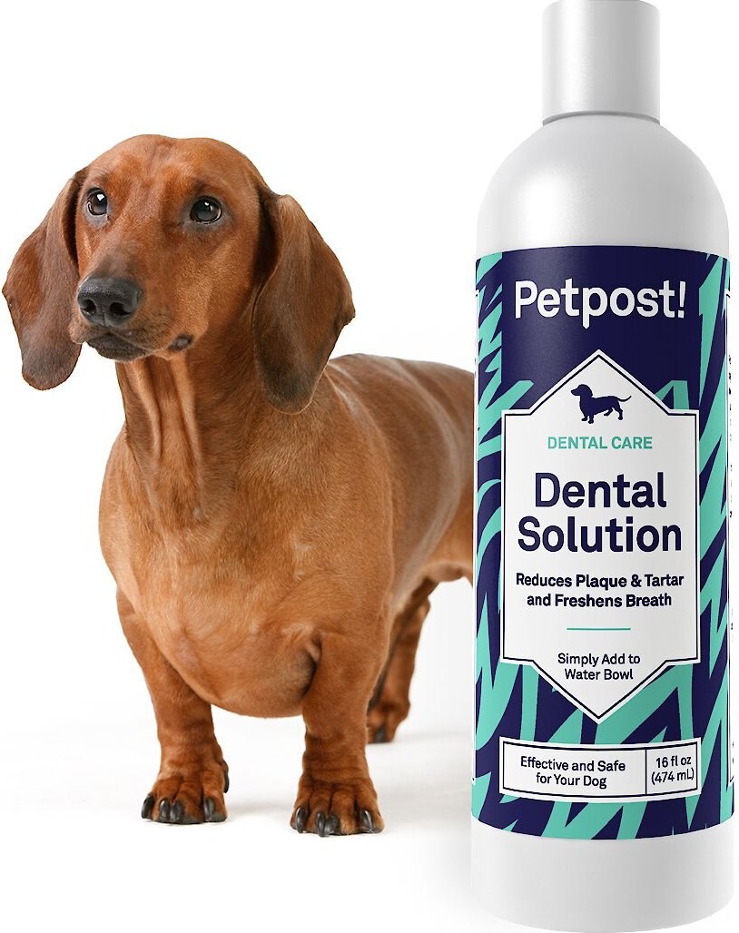 Petpost Dental Solution Dog Dental Water Additive