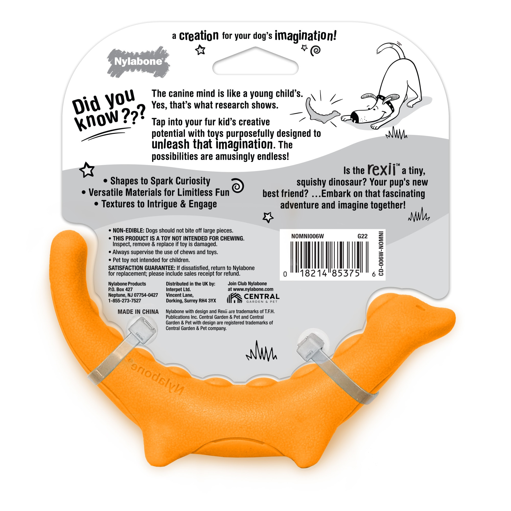 Nylabone Creative Play Rexii Interactive Dog Toy， Small