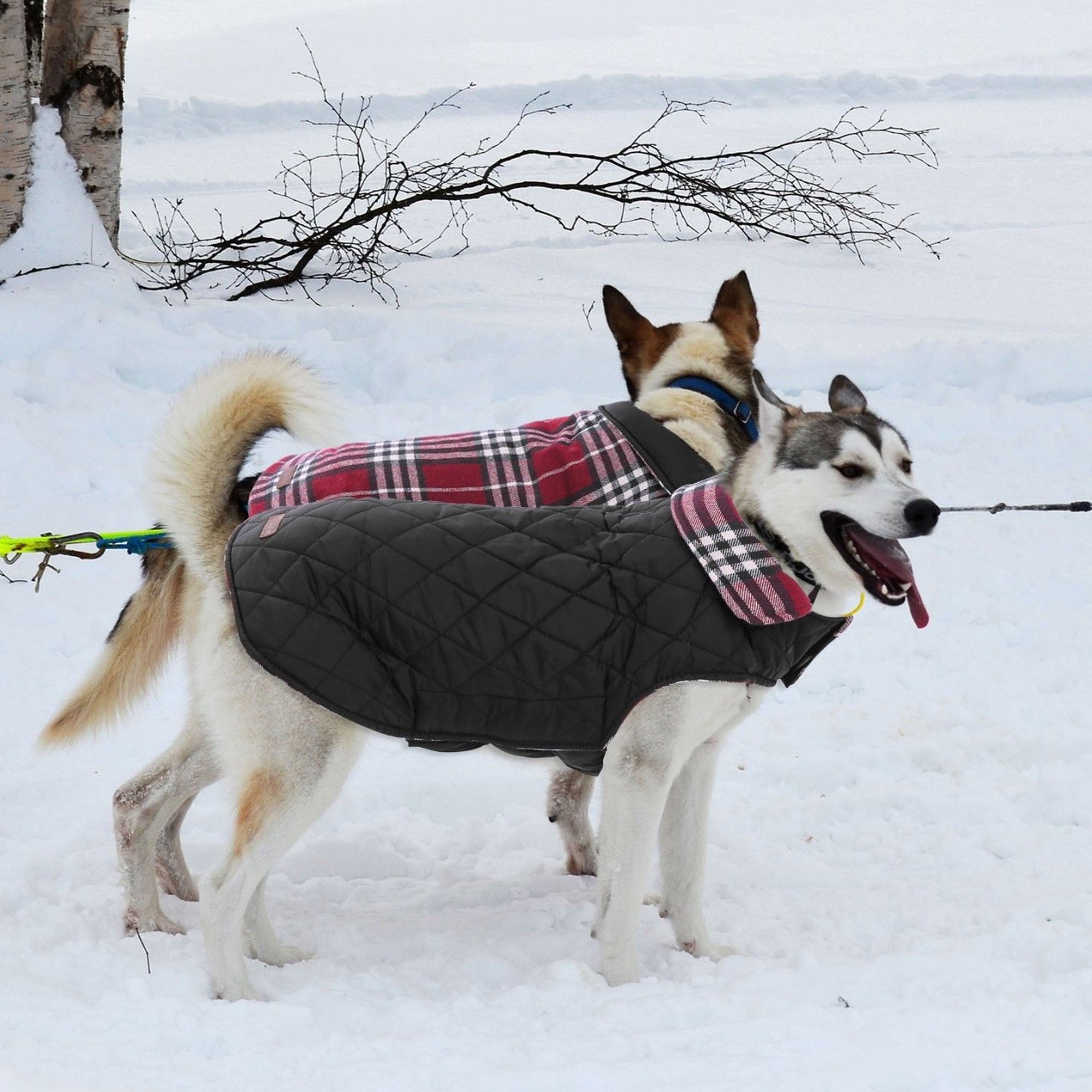 Sunisery Winter Warm Padded Dog Clothes Waterproof Pet Coats Vest Jacket For Dogs S-Xxl