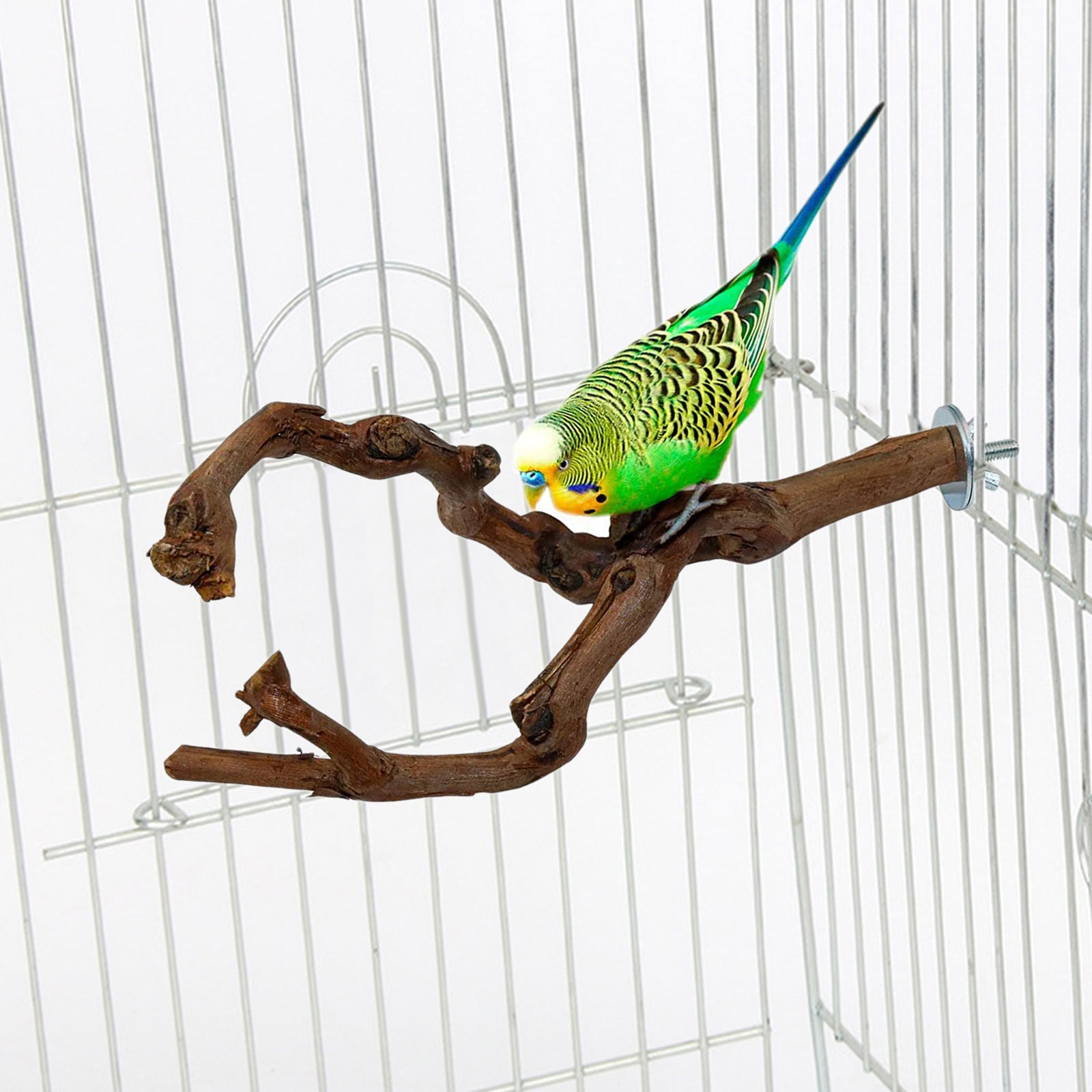 Natural Parrot Bird Stand Tree Branch Pet Budgie Toys Pet Supplies Perches Cage Two Branches