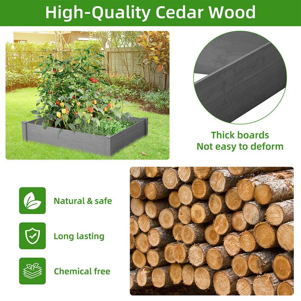 BTMWAY 48 in. L x 48 in. W x 10 in. H Cedar Wood Outdoor Square Raised Garden Bed Kit， Planter Box， Tool-Free Assembly CXXSQ-GI81262D469-Gardenbed01