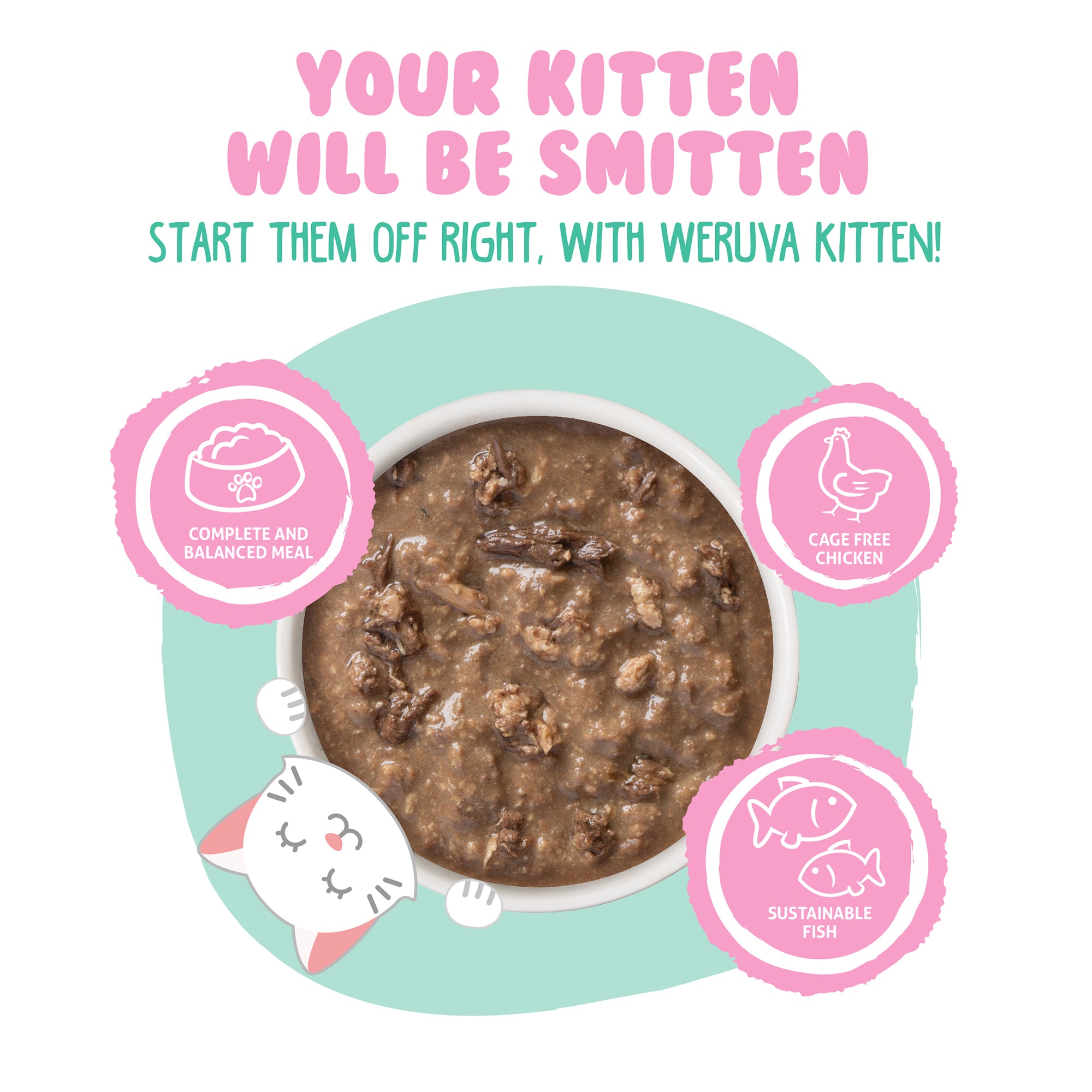 Weruva Kitten Minced Chicken  Tuna Formula in Gravy Wet Cat Food， 3 oz.， Case of 12