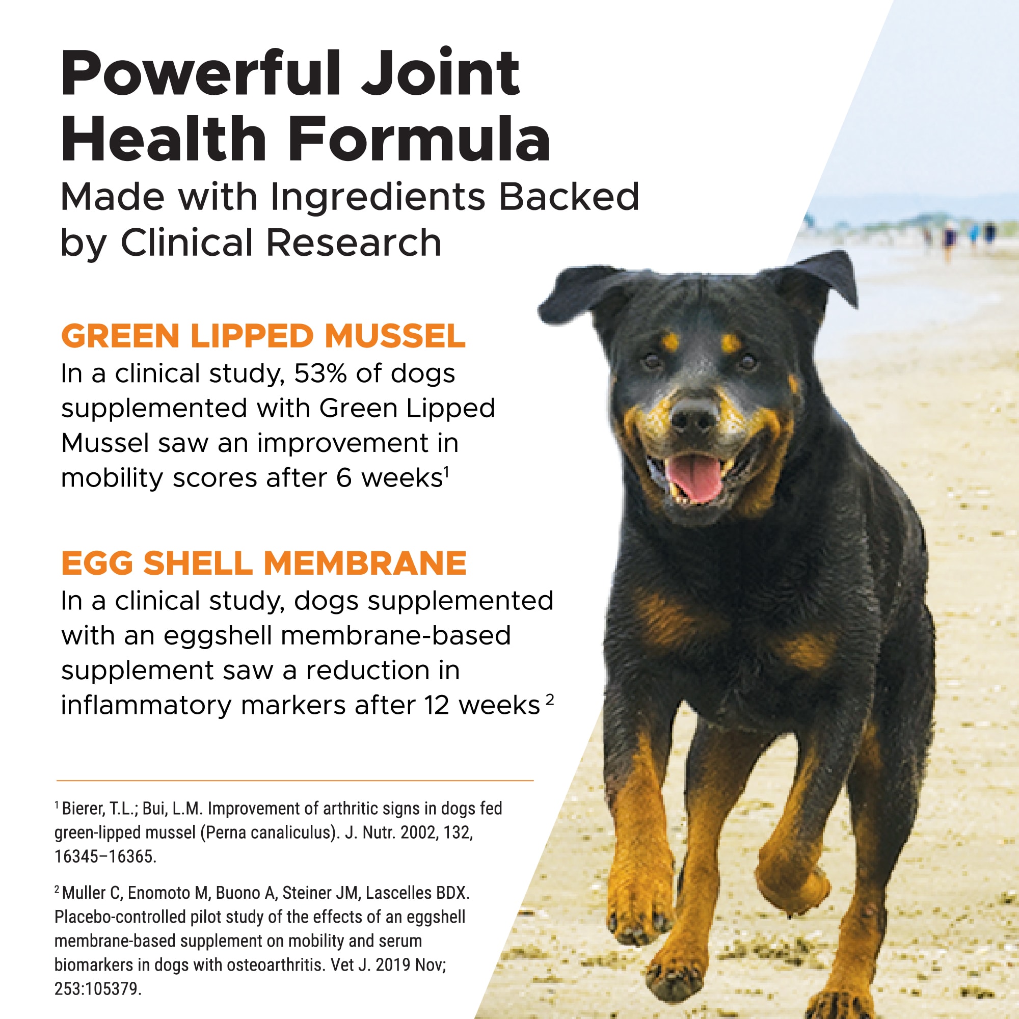 Pet Honesty Hemp Hip + Joint Health Senior Soft Chews for Dogs， Count of 90