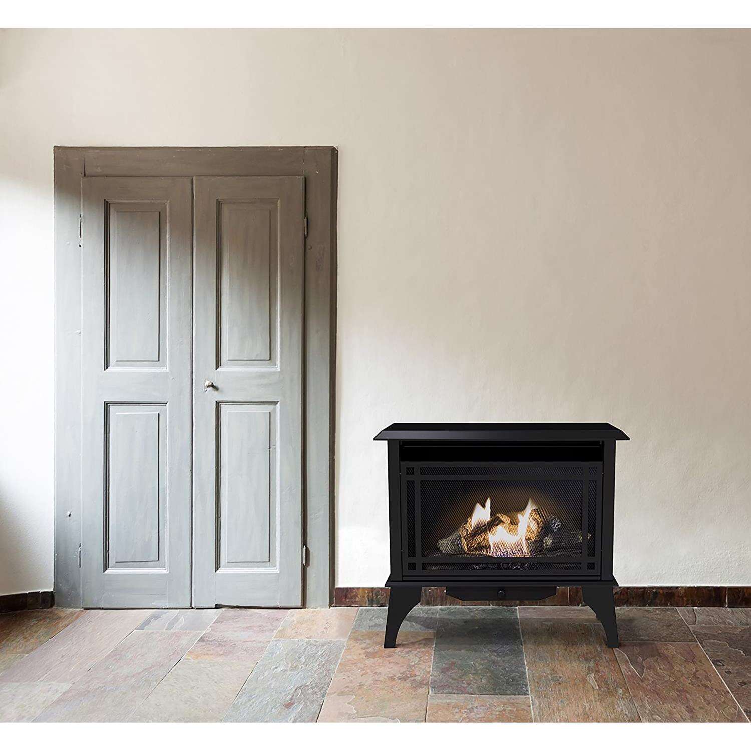 Pleasant Hearth 1000 sq ft 30000 BTU Natural Gas/Propane Wall Fireplace Heater