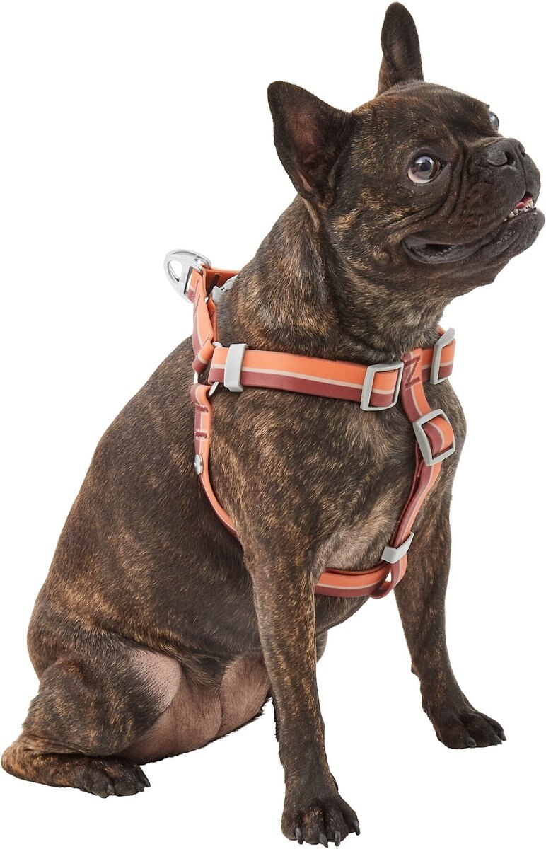 Frisco Outdoor Two Tone Waterproof Stinkproof PVC Dog Harness