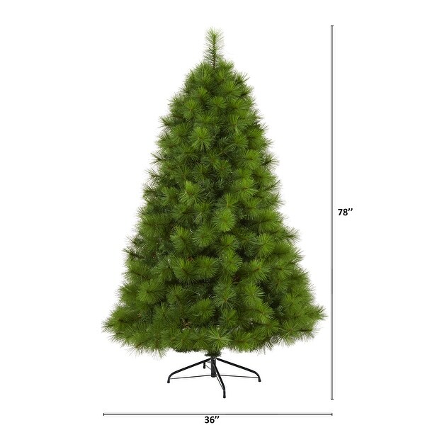 6.5' Green Scotch Pine Christmas Tree with 350 Clear LED Lights