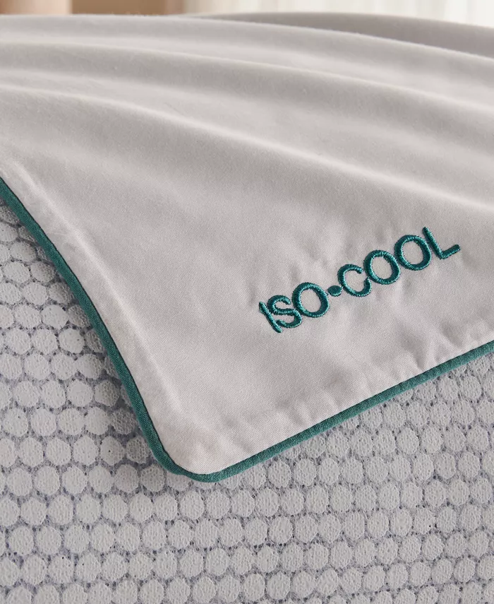 IsoCool Polyester Twin Pack Pillows， Standard