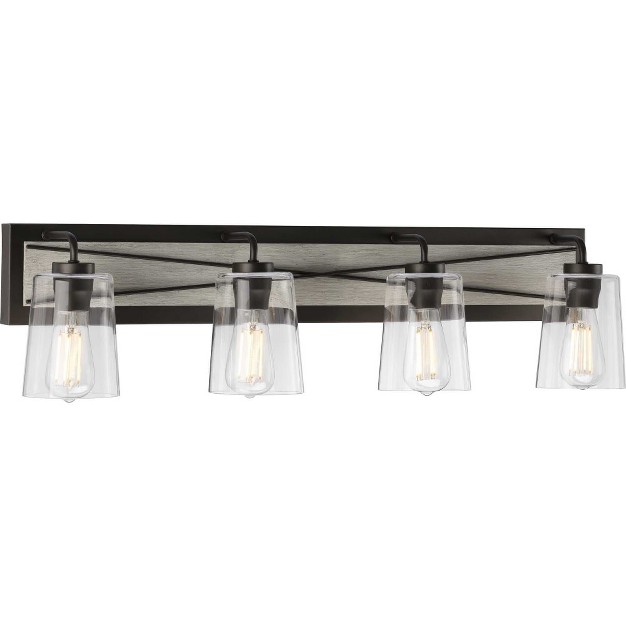 Progress Lighting Briarwood 4 light Bath Vanity In Graphite With Clear Glass Shades