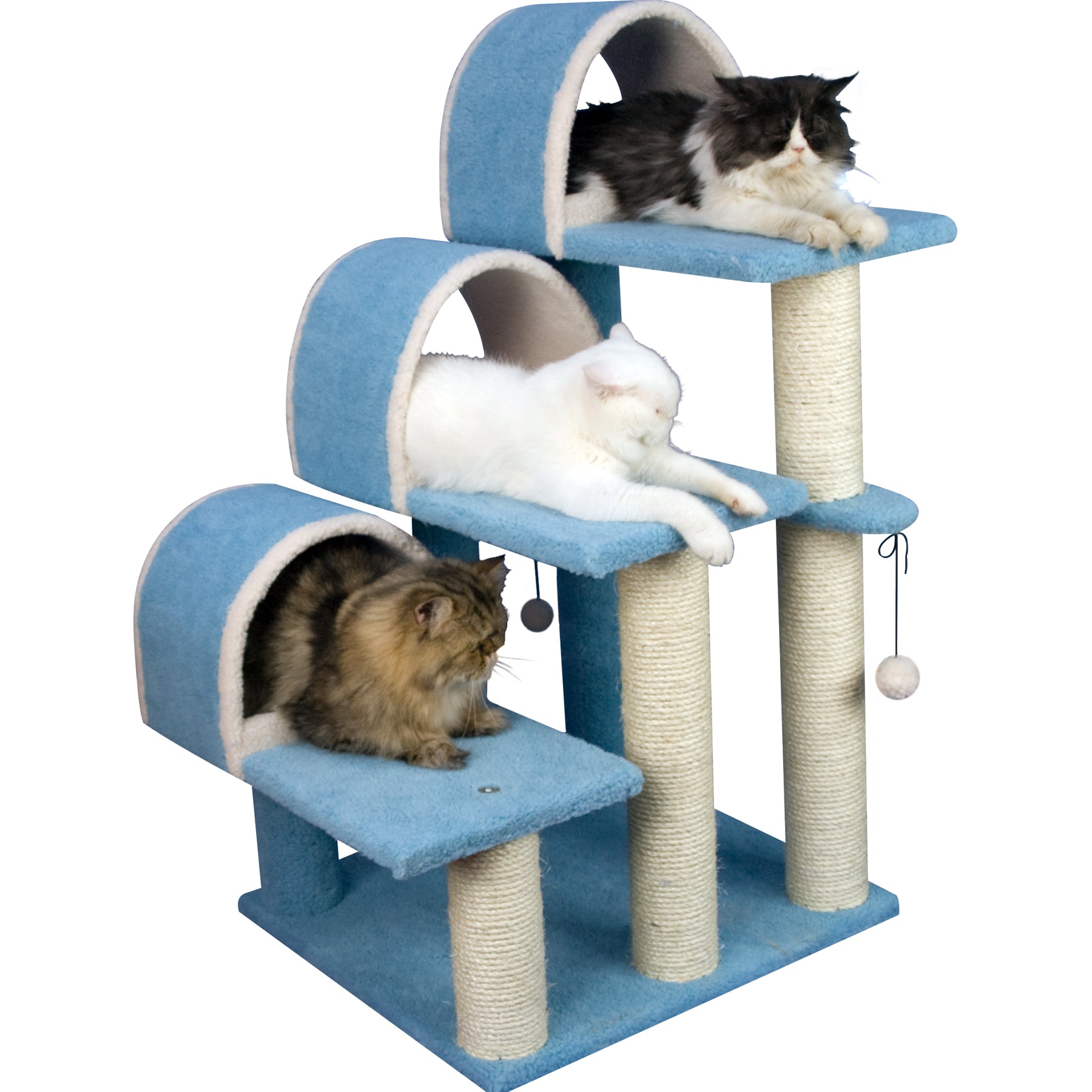 Armarkat Classic real wood Cat Tree Model B3803， 38 inch Sky Blue