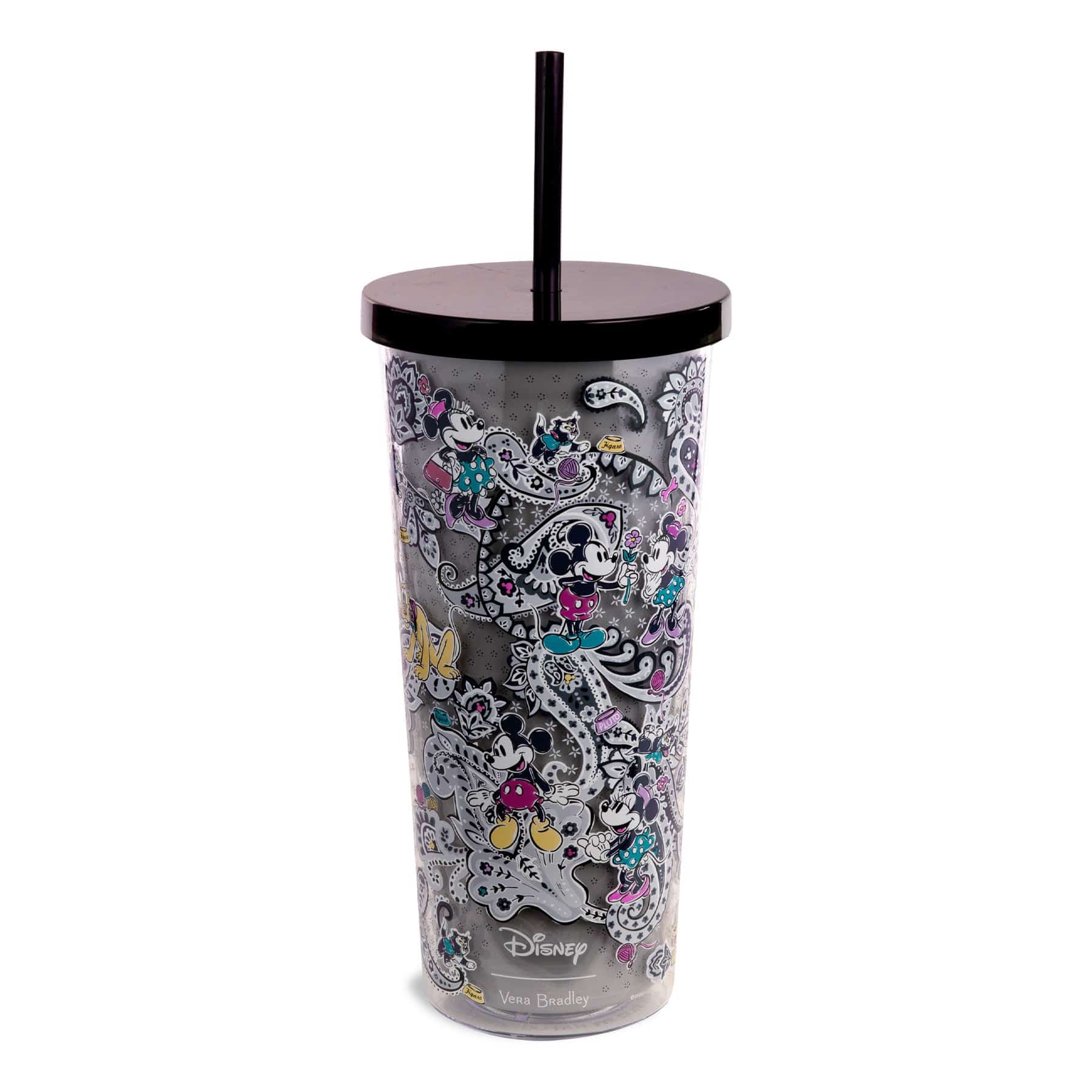 Disney Double Wall Tumbler with Straw