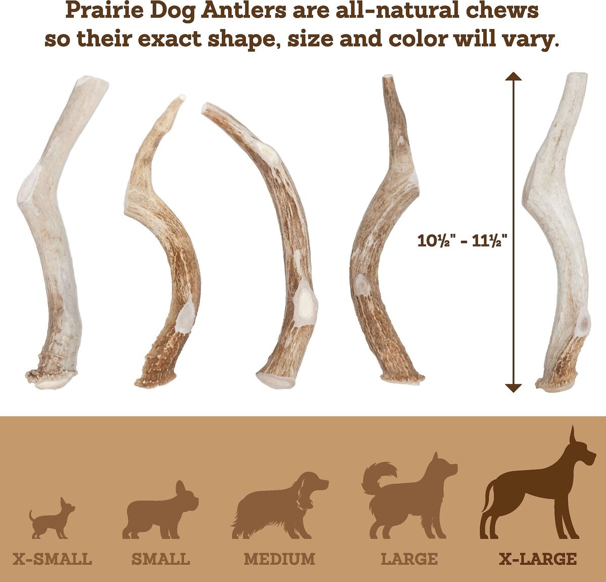 Prairie Dog Whole Deer Antler Dog Chews， 9 - 10.5 in